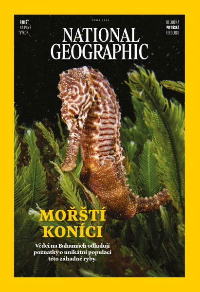 National Geographic 2026/02