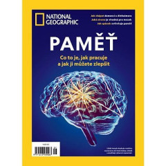 Paměť – co to je, jak pracuje a jak ji můžete zlepšit